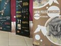 A exposición, realizada en colaboración coa asociación Morcegos de Galicia, ofrece información divulgativa