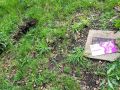 Paseo de las estrellas de Dodro, donde se produjo el robo del olivo.