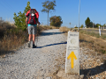 Peregrinos caminando por una etapa del Camino de Santiago