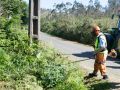 Trabajos de desbroce en una finca del municipio