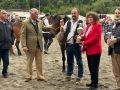 La edición de este año incluyó exhibiciones ecuestres, concursos de pura raza galega y actividades dirigidas al público infantil en el recinto de Amio