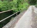 El estado actual de la Ponte das Canizas
