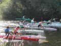 regata 2025