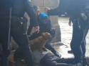 Fotograma del vídeo compartido por la usuaria, donde se ve al perro protegiendo a su dueño de los agentes de la Policía Local que realizaron la intervención