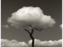 Una de las fotografías de Chema Madoz incluidas en la exposición ‘La naturaleza de las cosas’
