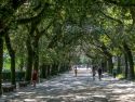 El ideal gallego