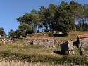 imagen archivo entorno rural