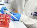 Un total de 18 investigadores únense á USC mediante os contratos Ramón y Cajal, mentres que dous investigadores máis incorporáronse a finais do ano pasado a través do programa Beatriz Galindo