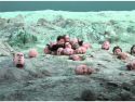 La exposición puede visitarse desde este viernes y recoge el último proyecto de la artista alemana