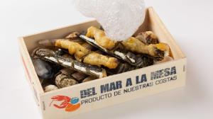 El ideal gallego