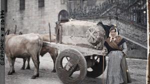 Carro de bueyes en plena plaza del Obradoiro (1917)