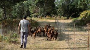 Laboratorio Ecosocial do Barbanza (1)