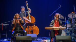 O concerto celebrarase o 3 de maio e contará coa participación de seis intérpretes e unha intervención poética en directo
