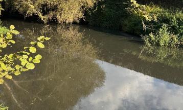 Estado actual del río Sar a su paso por Bertamiráns