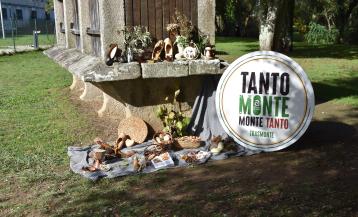A Feira do Monte “Tanto Monte, Monte Tanto” celebrarase no campo da festa de Trasmonte os días 15 e 16 de novembro, con 22 expositores, obradoiros, degustacións e música tradicional