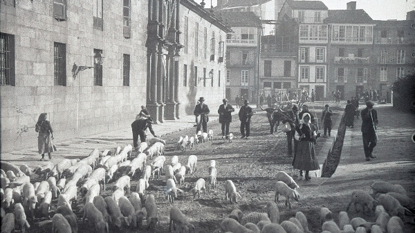 La Alameda de Santiago, llena de cerdos entre 1924 y 1926
