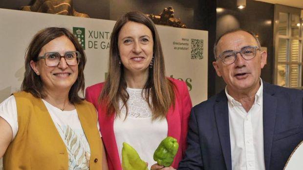 El ideal gallego