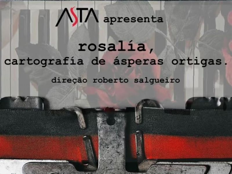 Cartel promocional de la funcion