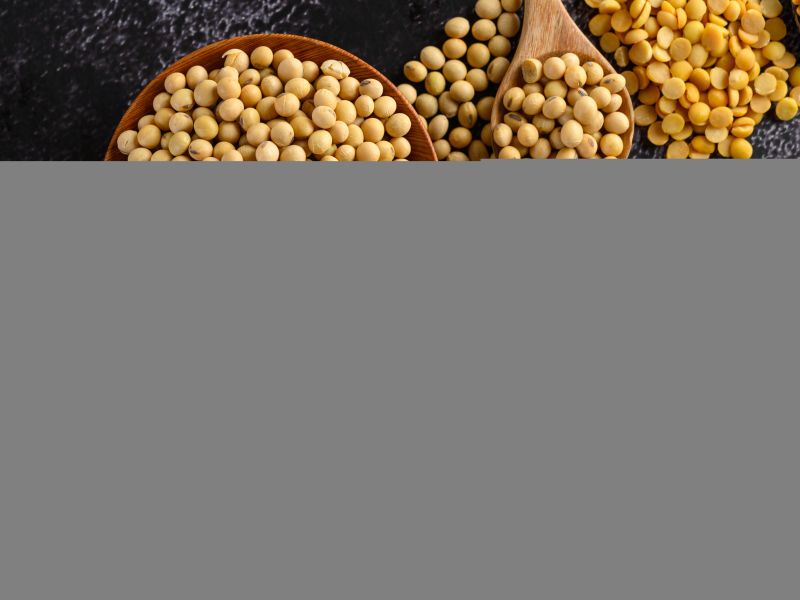 Surtido de legumbres y frijoles en el piso de cemento negro