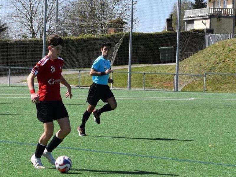 Arbitropitando