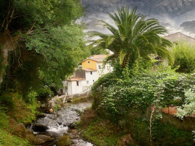 Paseo fluvial del rio Sarela