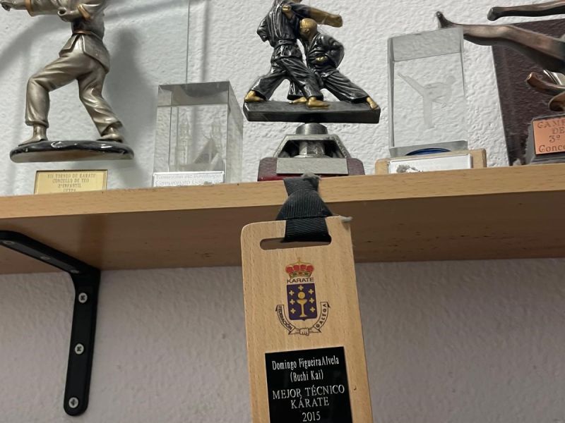 Bushi kai premios