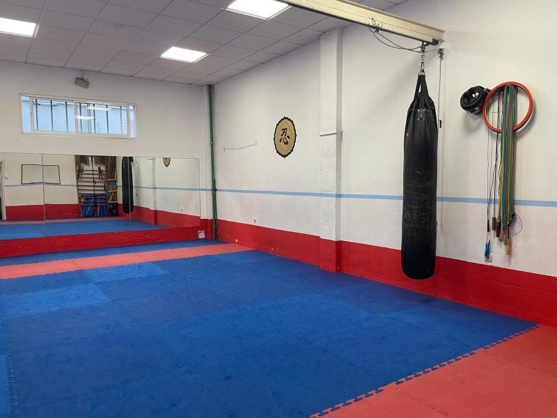 Bushi kai tatami