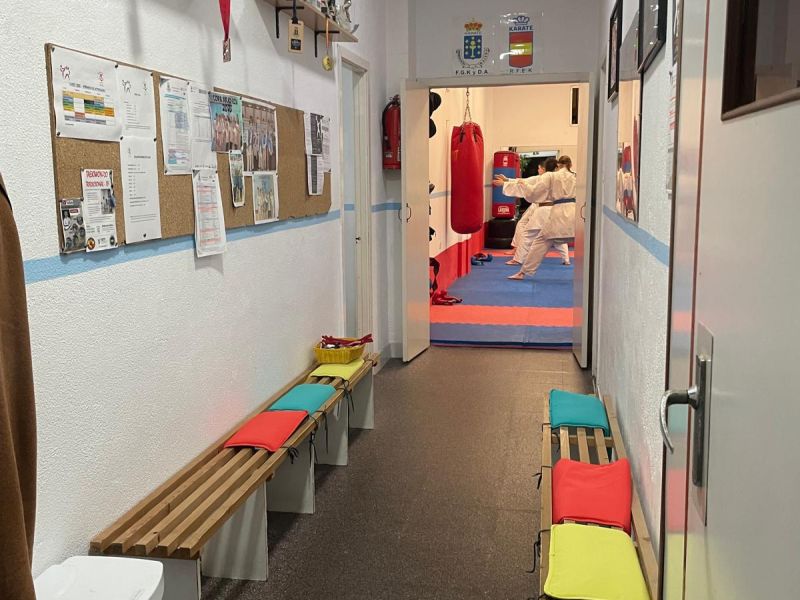Bushi kai aulas