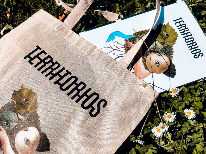 Revista territorios