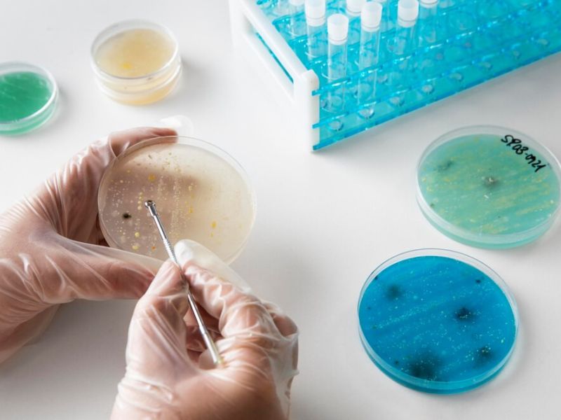 Naturaleza muerta dia mundial ciencia arreglo quimica 23 2149132693
