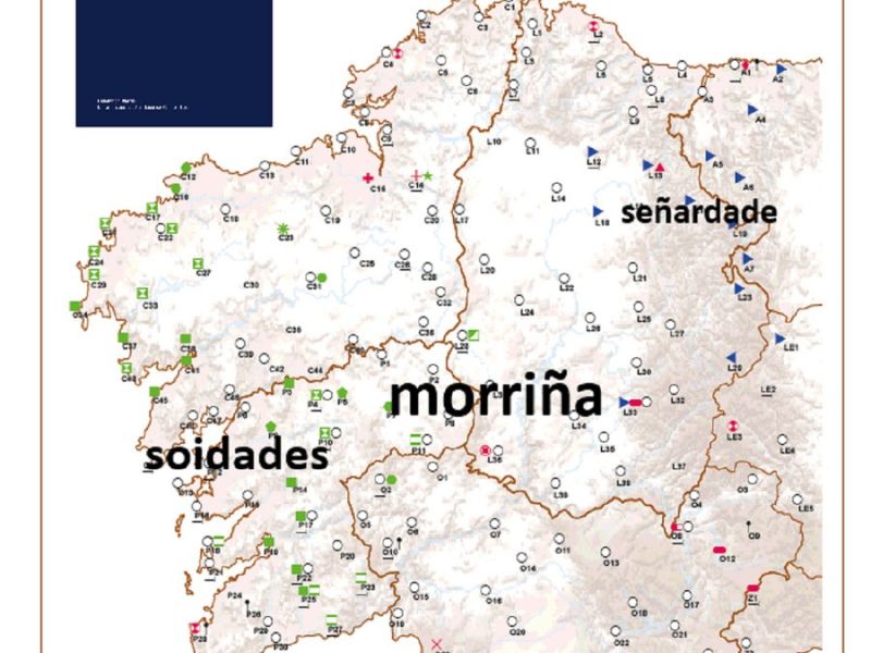 Morrina 2025 alga 8