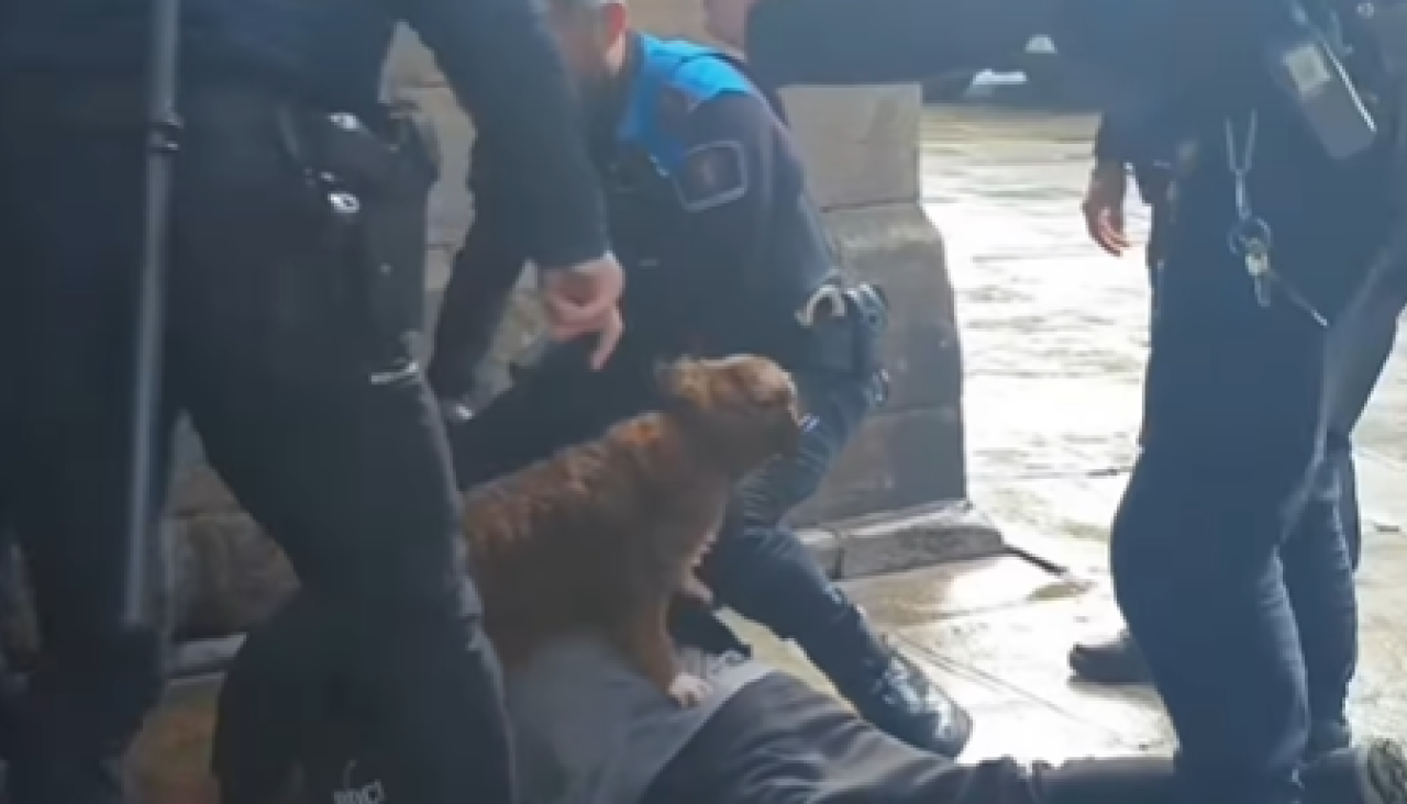 Fotograma del vídeo compartido por la usuaria, donde se ve al perro protegiendo a su dueño de los agentes de la Policía Local que realizaron la intervención