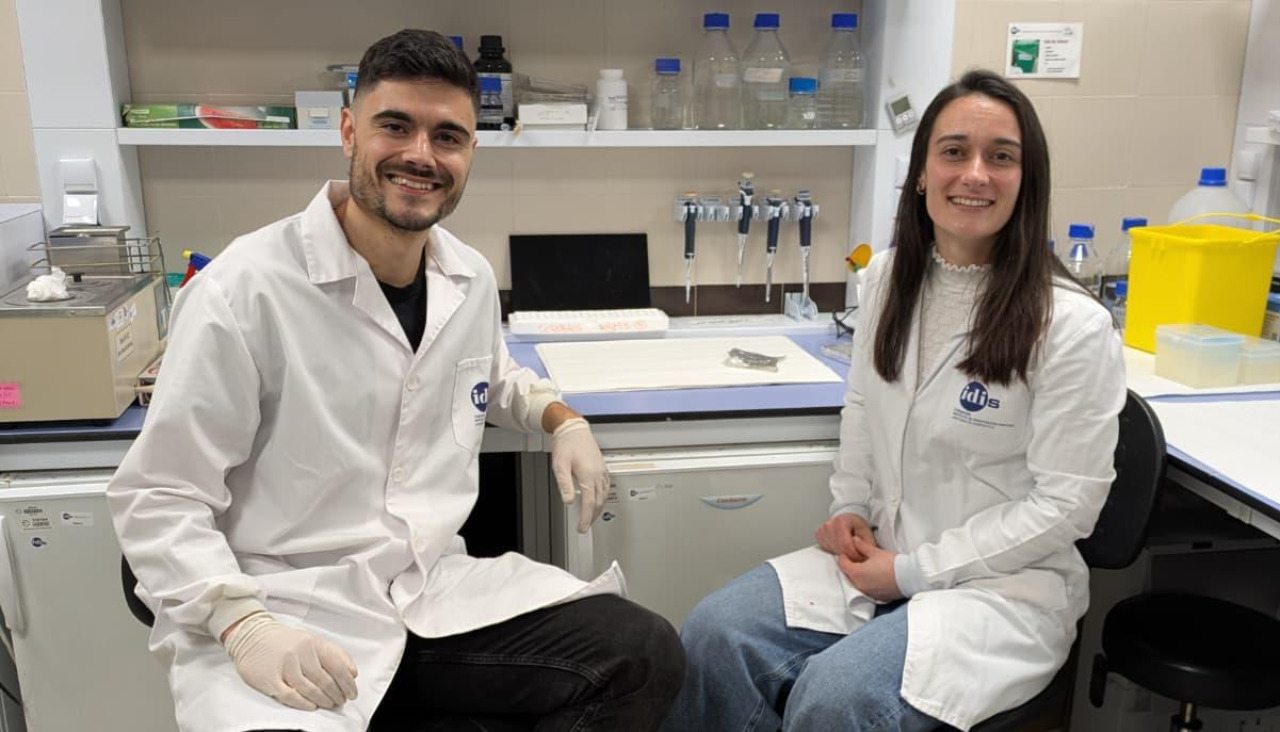El grupo Neuroimaxe e Biotecnoloxía del IDIS ha publicado dos artículos en revistas internacionales de referencia