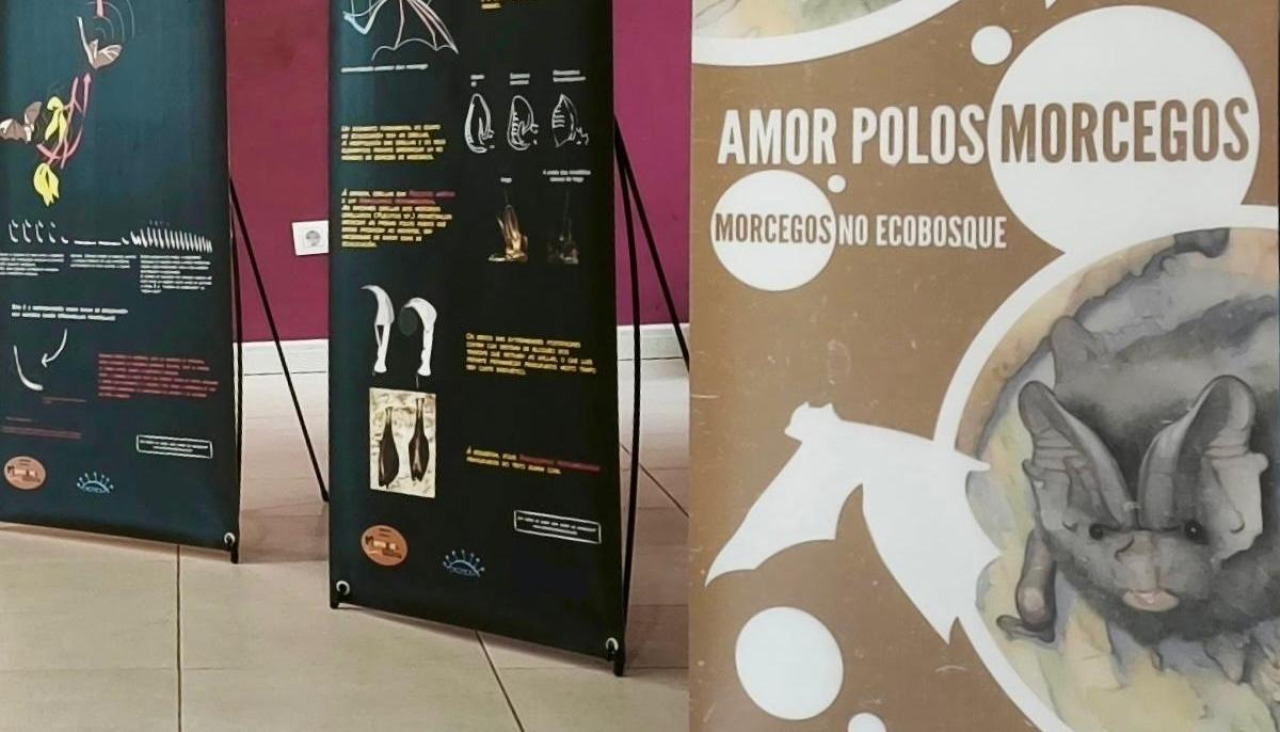 A exposición, realizada en colaboración coa asociación Morcegos de Galicia, ofrece información divulgativa