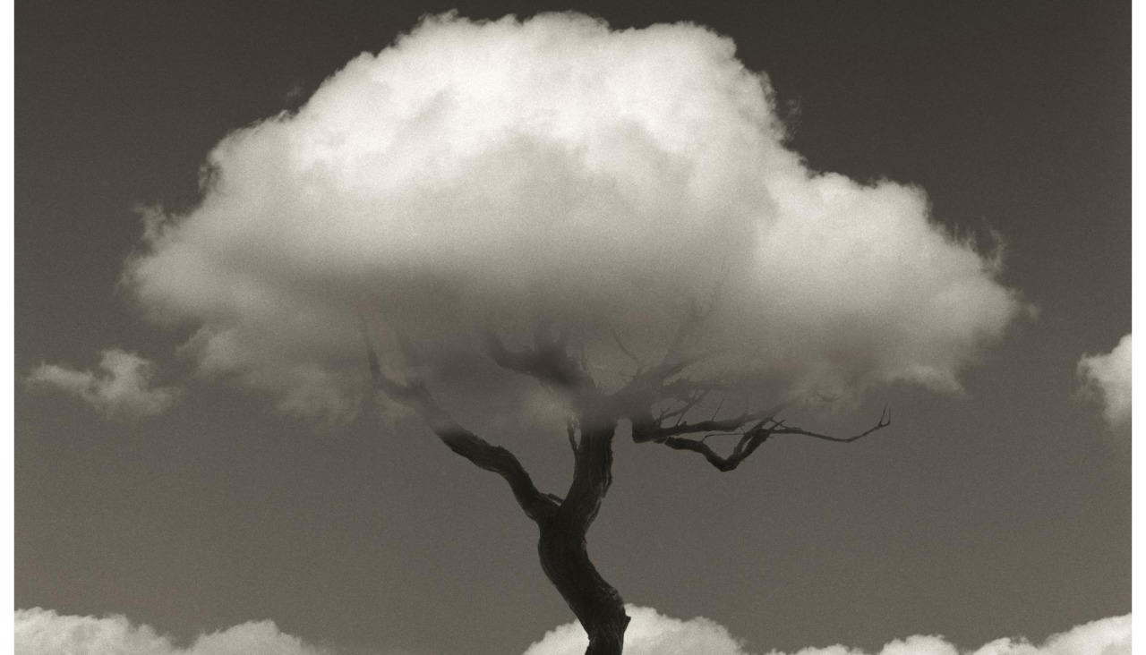 Una de las fotografías de Chema Madoz incluidas en la exposición ‘La naturaleza de las cosas’
