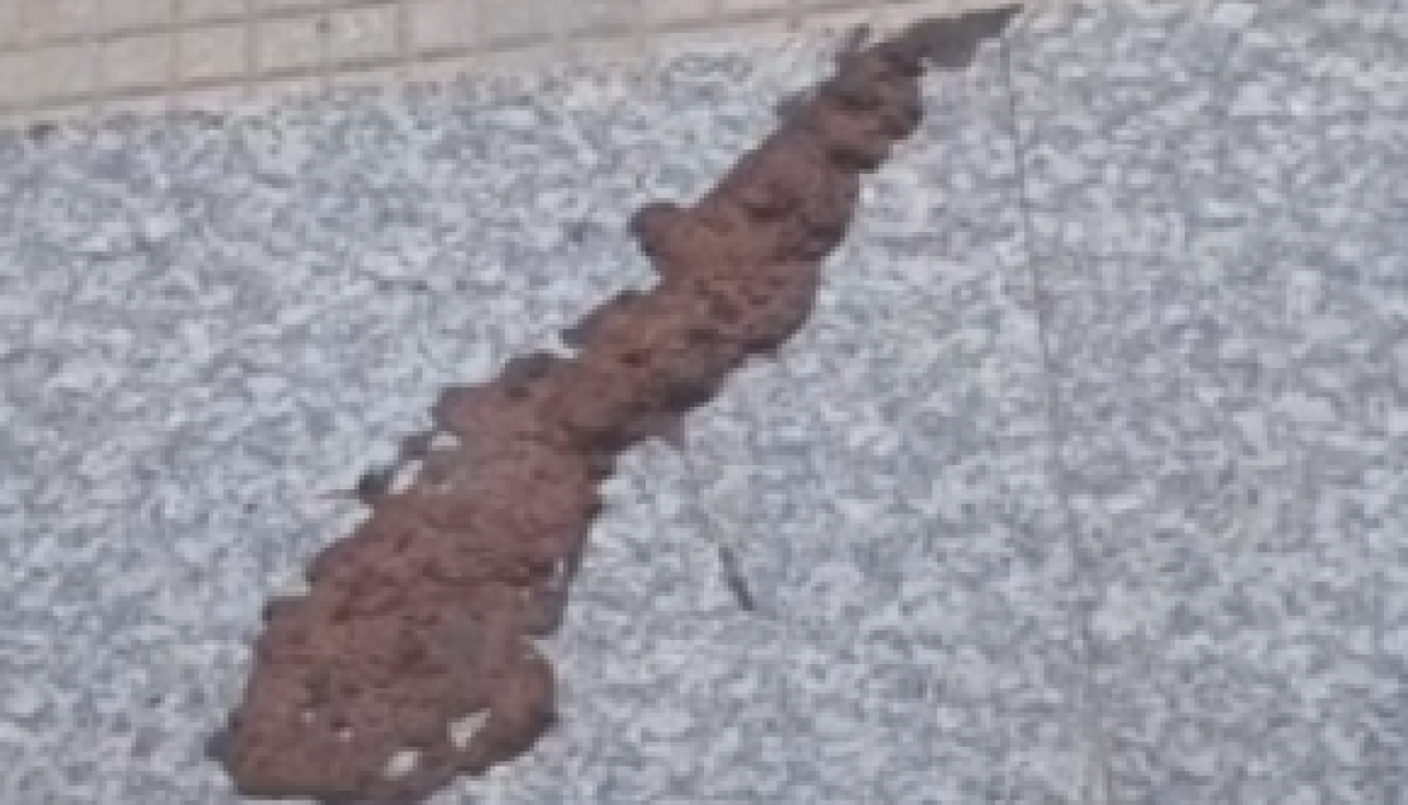 Las heces encontradas en el portal del edificio