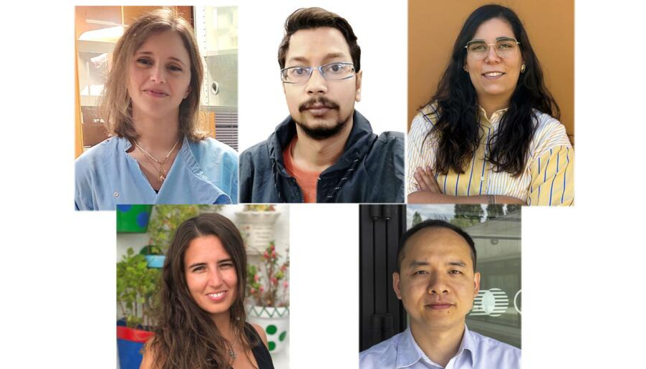 Axudas marie curie convocatoria 2024