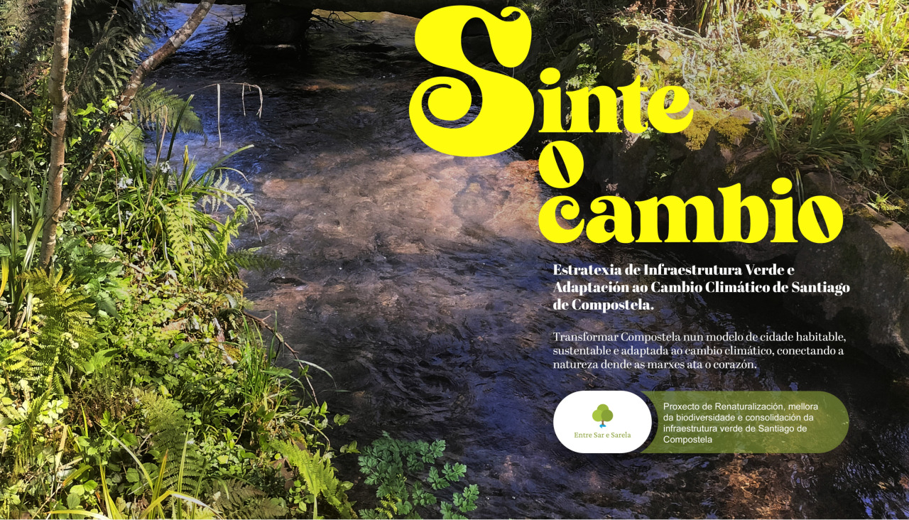Campaña sinte o cambio entre sar e sarela