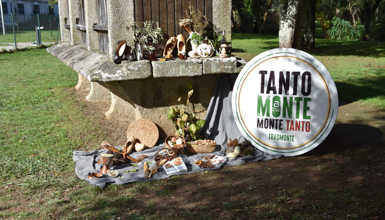 A Feira do Monte “Tanto Monte, Monte Tanto” celebrarase no campo da festa de Trasmonte os días 15 e 16 de novembro, con 22 expositores, obradoiros, degustacións e música tradicional