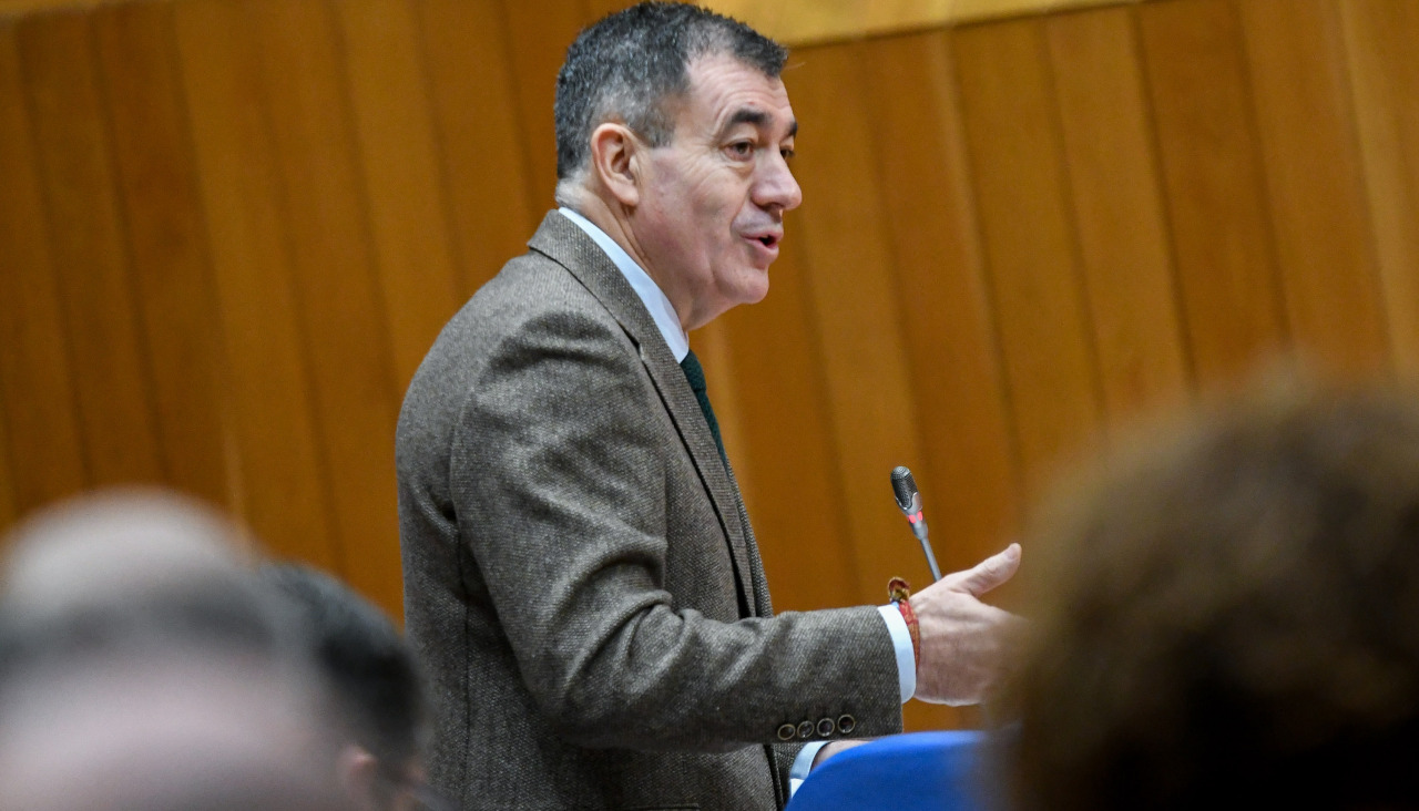 El conselleiro de Educación, Román Rodríguez, durante su intervención en el Parlamento de Galicia