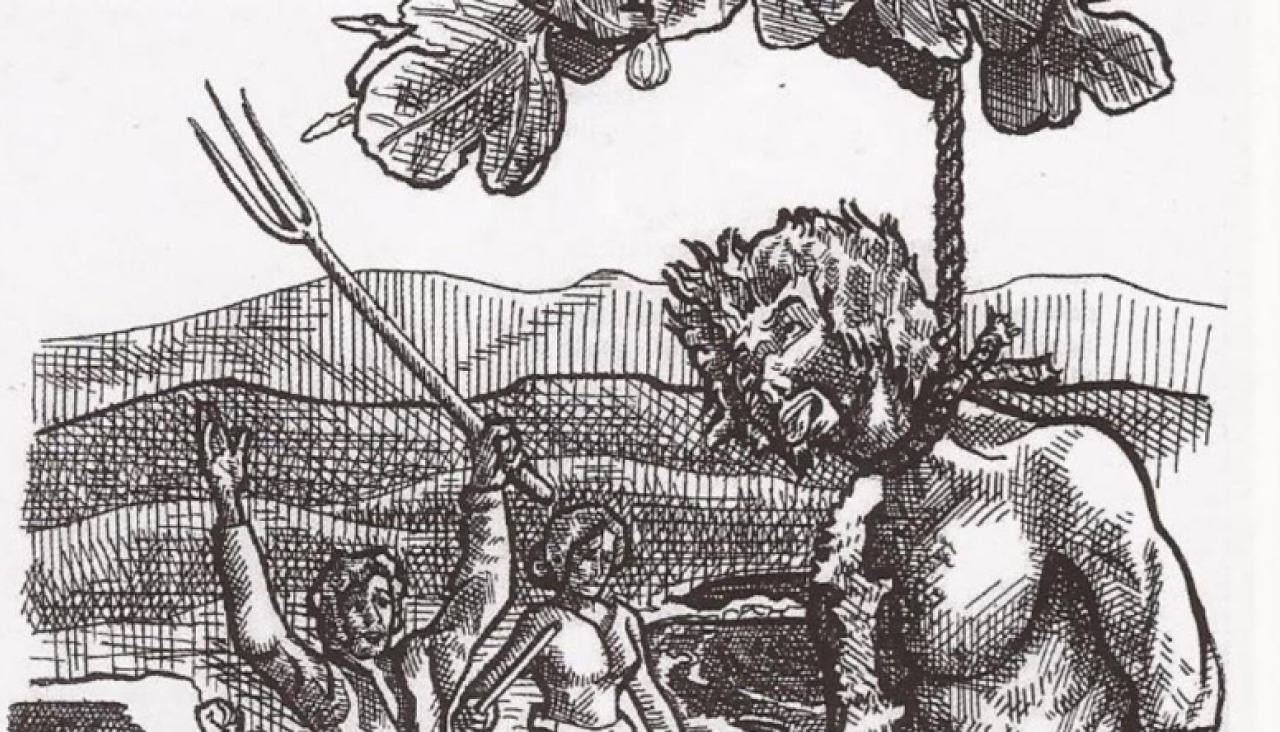 Ilustración tradicional del Meco
