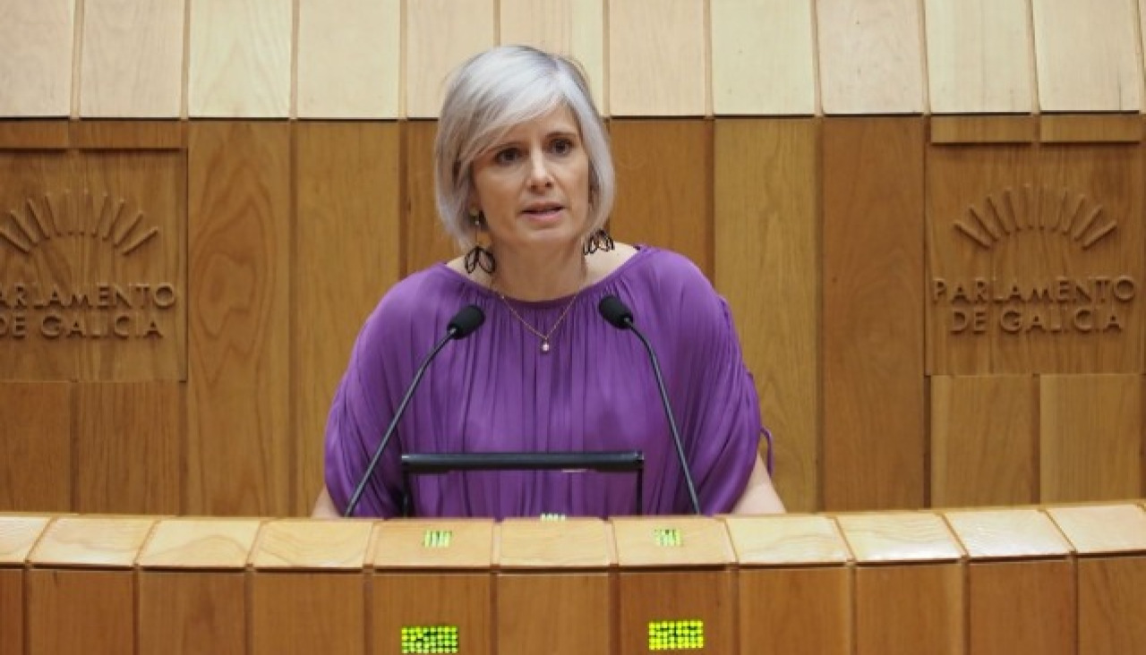 Ha criticado la "inacción" por parte de la alcaldesa, Goretti Sanmartín