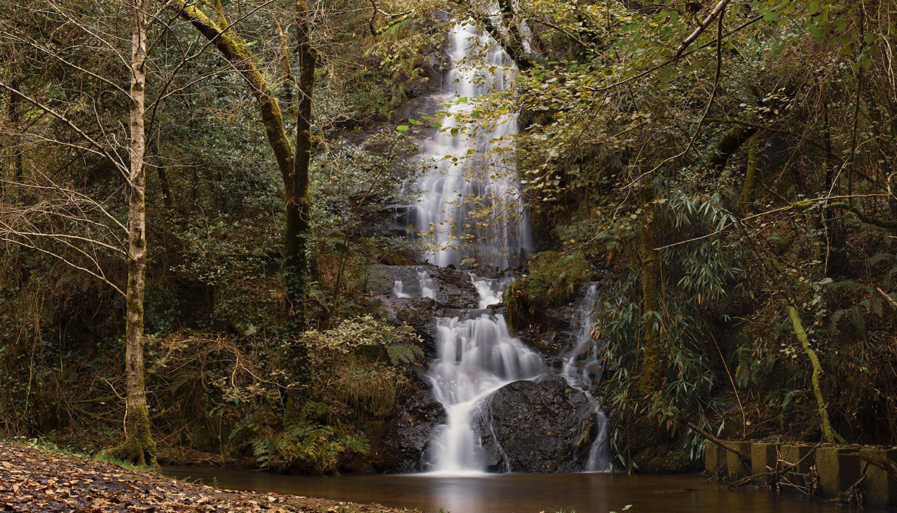 O prazo para que as empresas presenten ofertas á licitación da obra remata o 8 de marzo