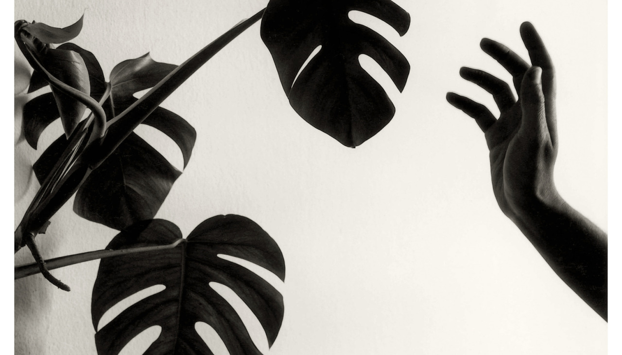 La exposición reúne más de 50 imágenes creadas por Chema Madoz desde 1982 hasta la actualidad