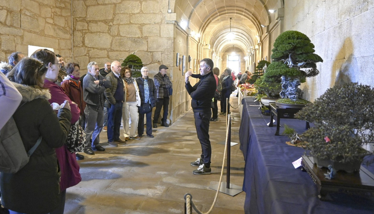 A mostra reunirá participantes de toda Galicia e combinará exposición floral, actividades divulgativas e recoñecementos ao cultivo da camelia durante toda a fin de semana