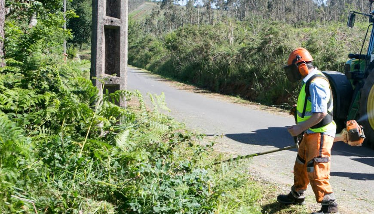 Trabajos de desbroce en una finca del municipio