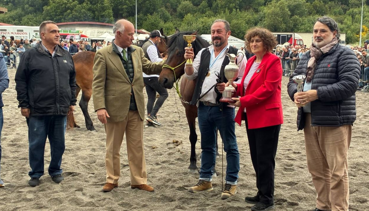 La edición de este año incluyó exhibiciones ecuestres, concursos de pura raza galega y actividades dirigidas al público infantil en el recinto de Amio