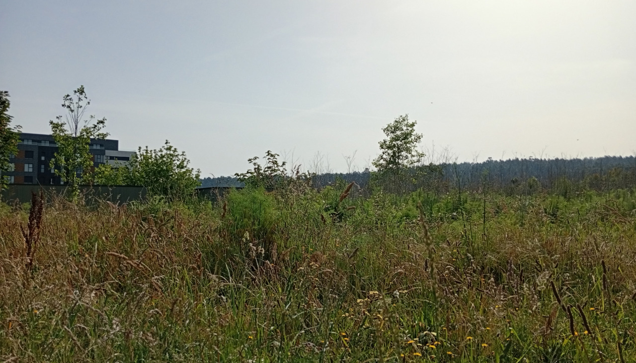 Una finca del concello de Ames