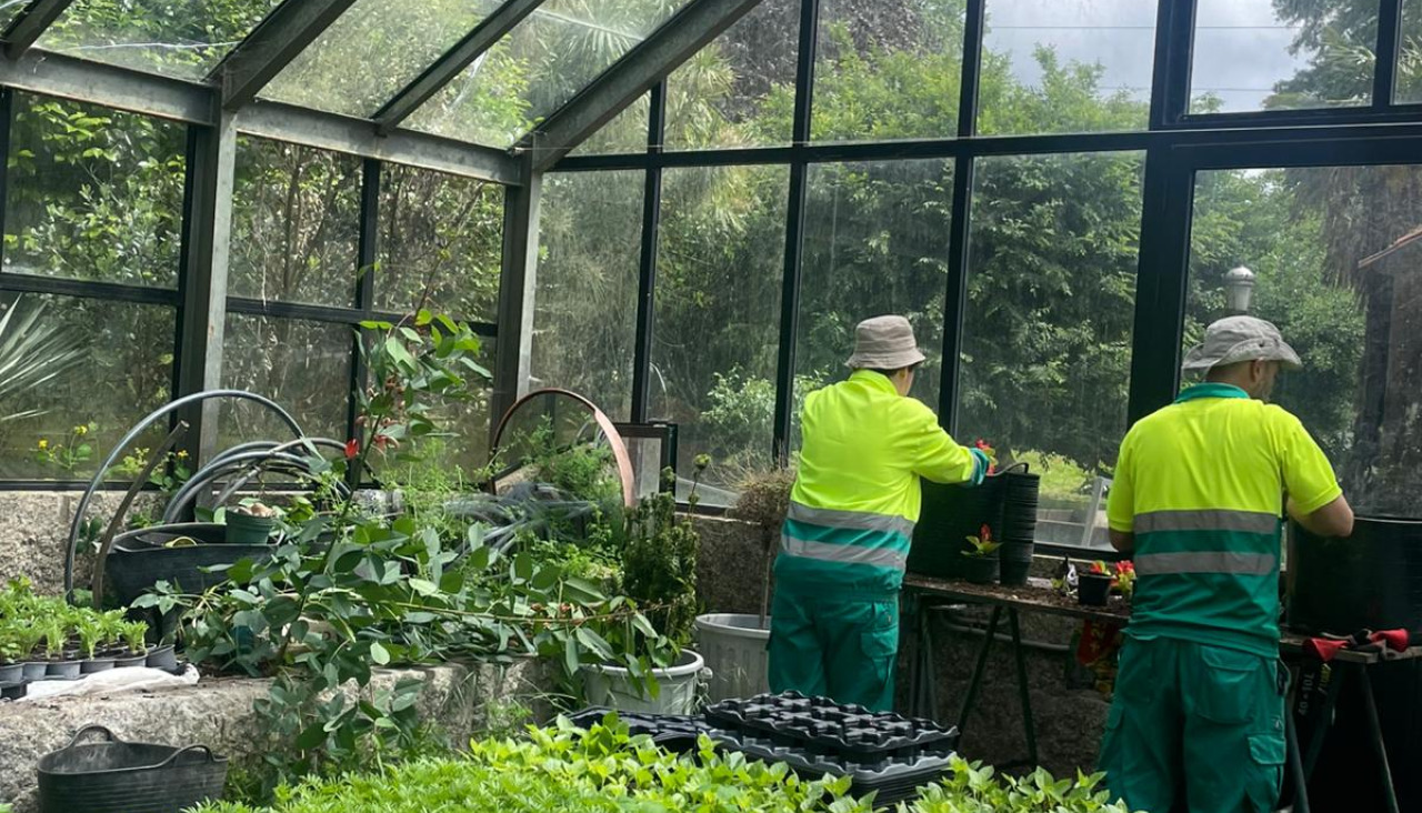 Los alumnos realizando trabajos en el curso