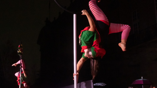 El Concello de Santiago celebró el pasado 28 de noviembre el tradicional encendido de las luces de Navidad (10)